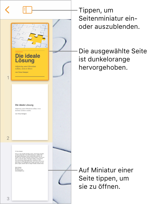 Die Miniaturdarstellung der Seiten links auf dem Bildschirm mit einer einzelnen ausgewählten Seite. Die Taste „Darstellungsoptionen“ über den Miniaturen.