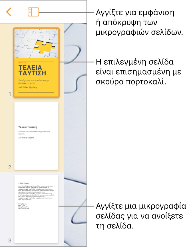 Προβολή μικρογραφιών σελίδων στην αριστερή πλευρά της οθόνης με μία επιλεγμένη σελίδα. Το κουμπί «Επιλογές προβολής» βρίσκεται πάνω από τις μικρογραφίες.