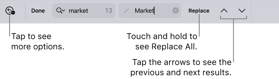 The Find & Replace controls above the keyboard with callouts to the Search Options, Replace, Go Up and Go Down buttons