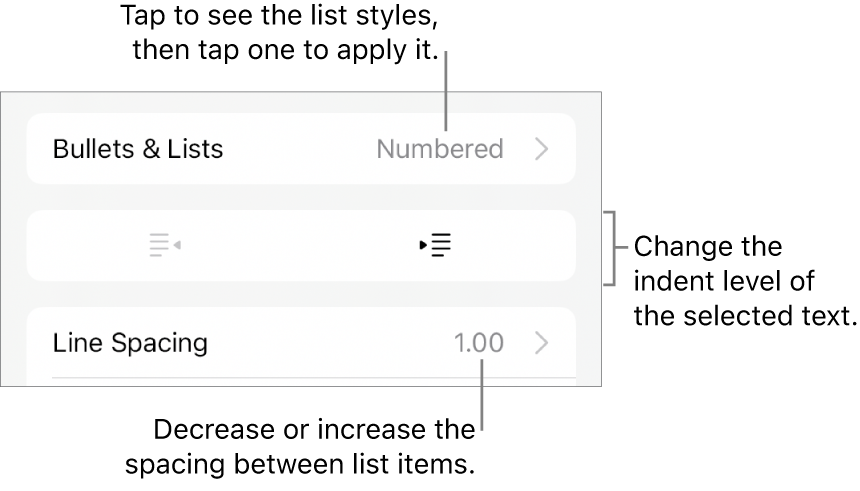 The Bullets & Lists section of the Format controls with callouts to Bullets & Lists, outdent and indent buttons, and line spacing controls.