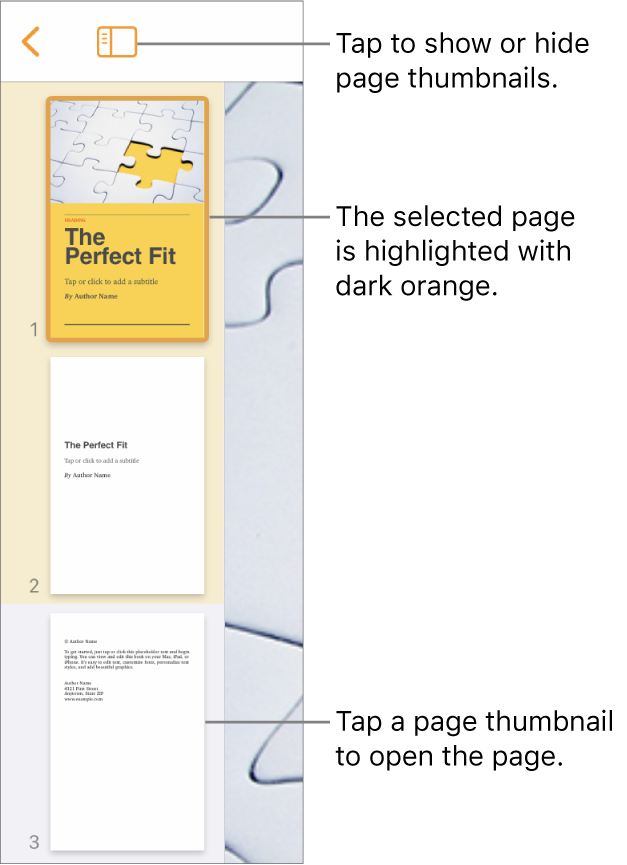 Page Thumbnails view on the left side of the screen with one page selected. The View Options button is above the thumbnails.