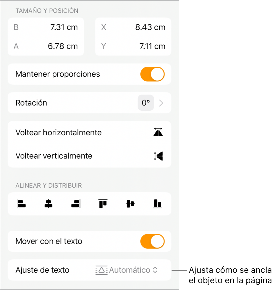 Controles de formato con la pestaña Orden seleccionada y los controles Mover al fondo/al frente, Mover con texto, y Ajuste de texto.