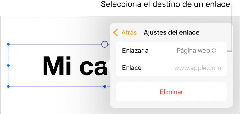 Controles de “Ajustes de enlace” con la opción “Página web” seleccionada y el botón Eliminar en la parte inferior.