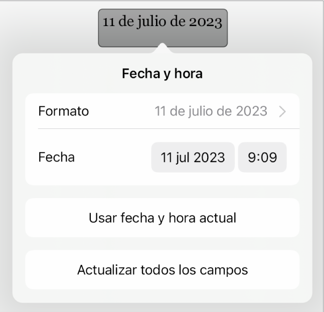 Los controles “Fecha y hora” con un menú desplegable para el formato de fecha y los botones “Ajustar a ahora” y “Ajustar todos los campos”.