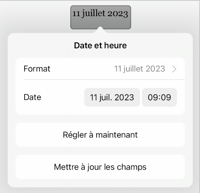 Les commandes Date et heure affichant un menu contextuel pour le format de date ainsi que les boutons Régler à maintenant et Mettre à jour tous les champs.