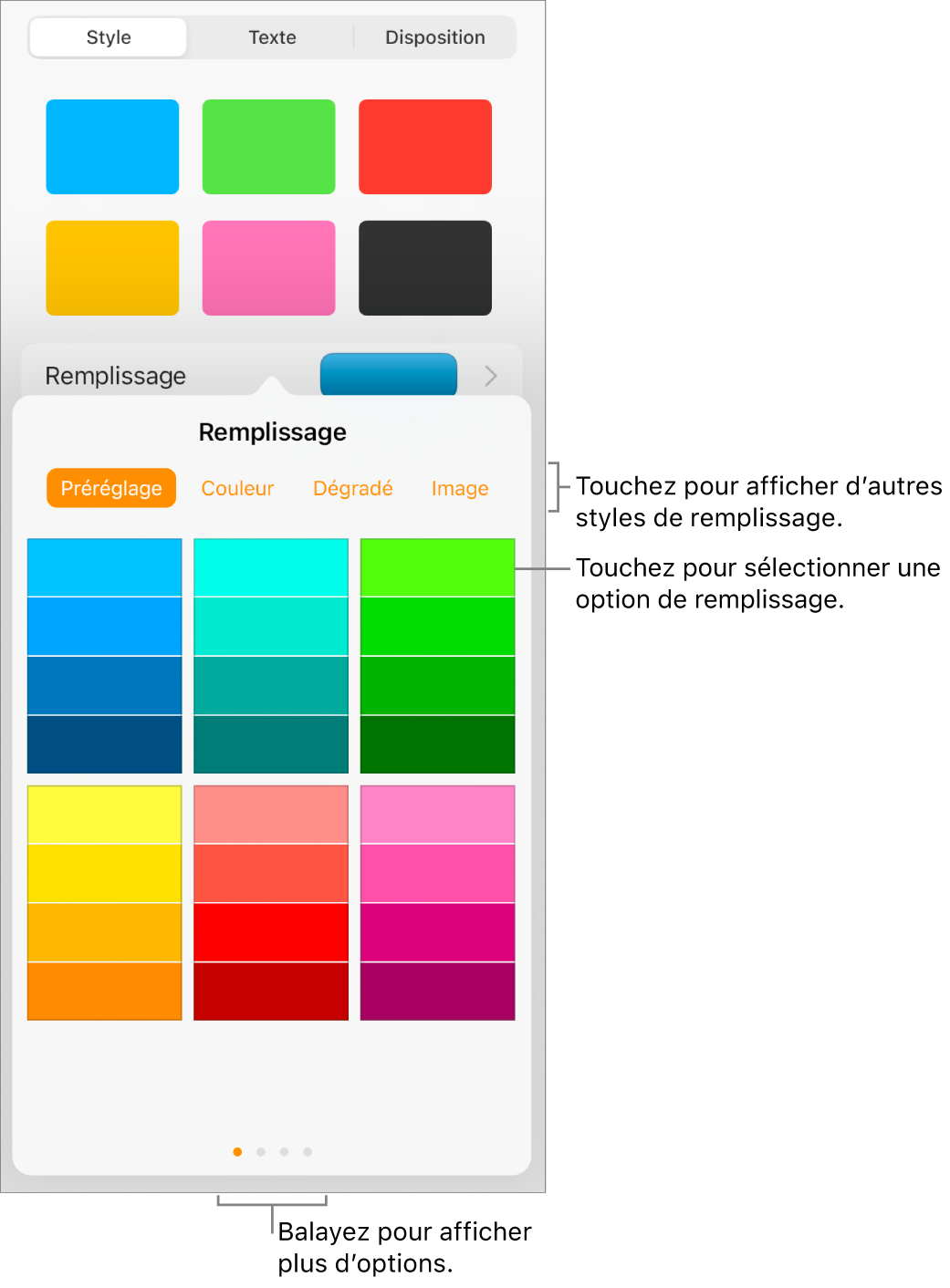 Options de remplissage de l’onglet Style du bouton Format.