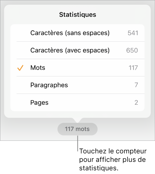 Nombre de mots avec menu présentant des options d’affichage du nombre de caractères avec et sans espaces, du nombre de mots, du nombre de paragraphes et du nombre de pages.