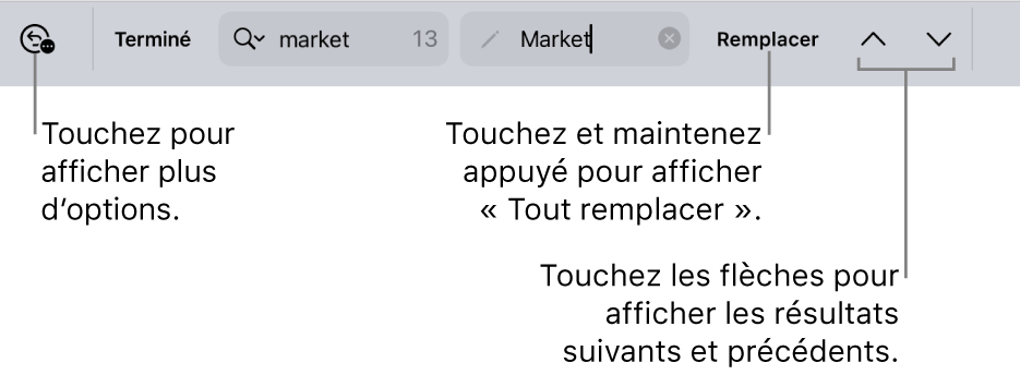 Les commandes de Rechercher et remplacer au-dessus du clavier avec des légendes pour les boutons Options de recherche, Remplacer, Monter et Descendre.