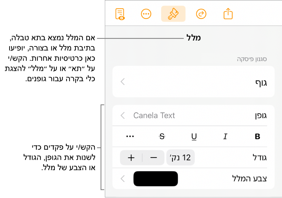 כלי בקרה של מלל בתפריט ״עיצוב״ להגדרת סגנונות, גופן, גודל וצבע עבור פיסקאות ותווים.