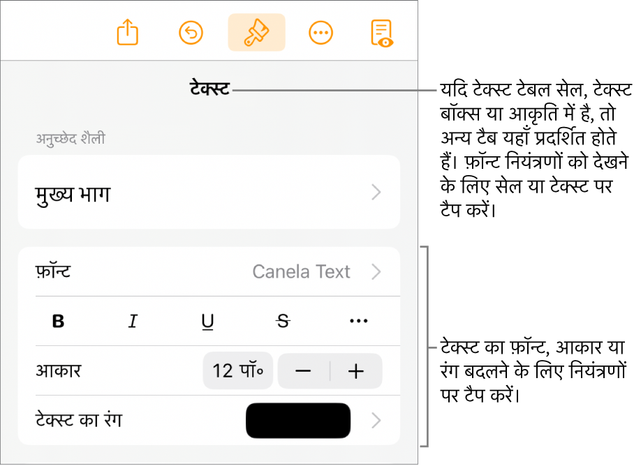 “फ़ॉर्मैट” मेनू में अनुच्छेद सेटिंग और वर्ण शैली, फ़ॉन्ट, आकार और रंग के लिए टेक्स्ट नियंत्रण।