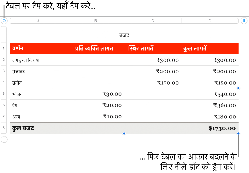 आकार बदलने के लिए नीले डॉट के साथ चयनित टेबल।