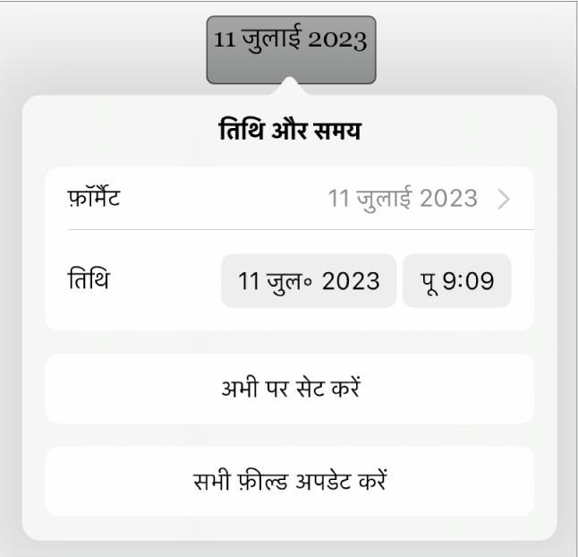 तिथि और समय नियंत्रण, जो तिथि फ़ॉर्मैट के लिए पॉप-अप मेनू और “आज पर सेट” तथा “सभी फ़ील्ड अपडेट करें” बटन दिखा रहे हैं।