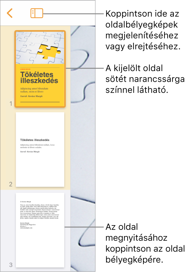 Az Oldalbélyegképek nézete a képernyő bal oldalán, egy kijelölt oldallal. A Nézetbeállítások gomb a bélyegképek felett található.