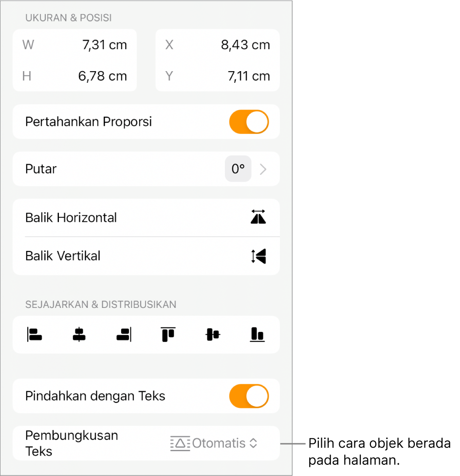 Kontrol Format dengan tab Susun dipilih dan kontrol untuk Pindahkan ke Belakang/Depan, Pindahkan dengan Teks, dan Pembungkusan Teks.