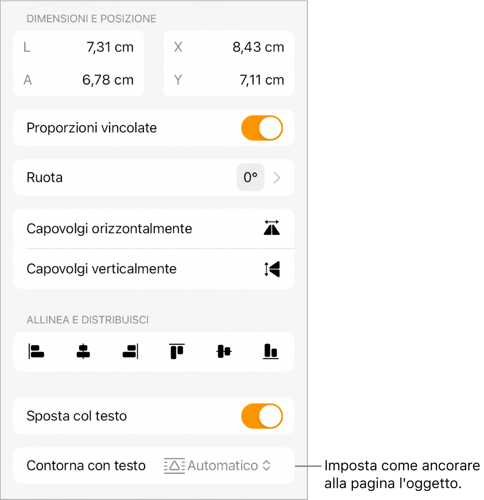 I controlli di Formattazione con selezionato il pannello Disposizione e i controlli per Sposta indietro/avanti”, “Sposta col testo” e “Disposizione testo”.