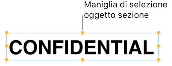 Oggetto con maniglie di selezione.