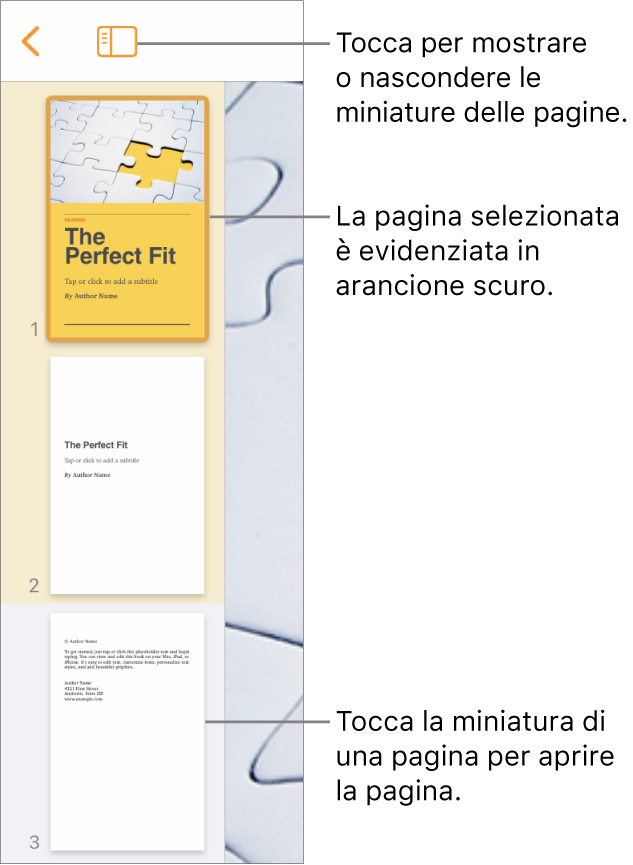 Vista “Miniature pagina” sul lato sinistro dello schermo, con una pagina selezionata. Pulsante “Opzioni visualizzazione” che si trova sopra le miniature.