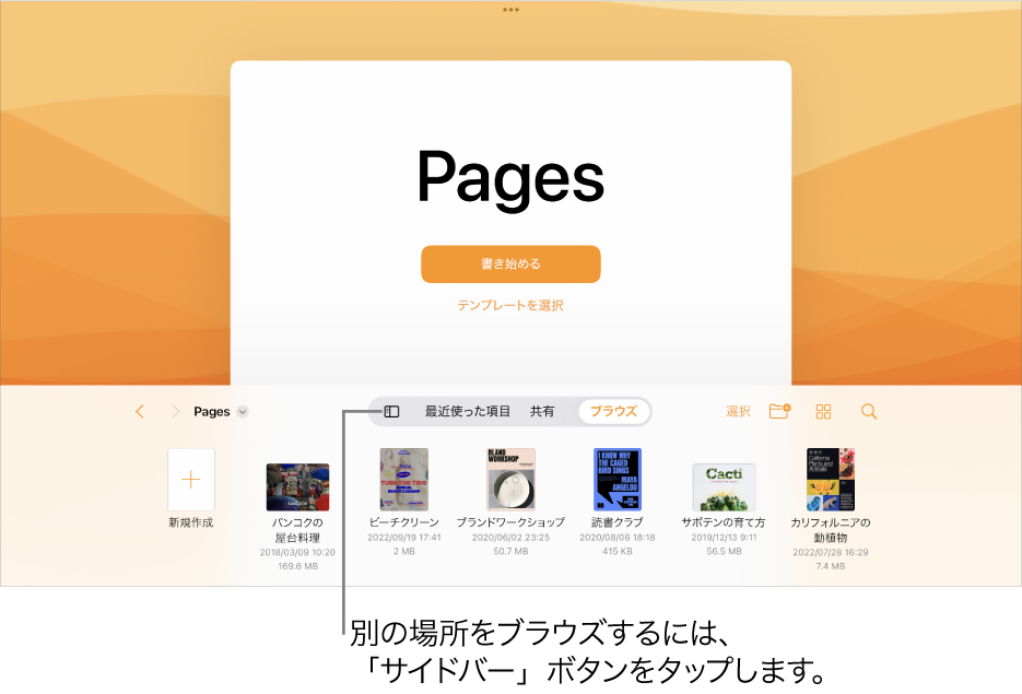 書類マネージャのブラウズビュー。左上隅に「サイドバー」ボタンがあります。「追加」ボタンの右上には、「新規フォルダ」ボタン、「アイコン」ボタン（名前、日付、サイズ、タグで並べ替えます）、「選択」ボタン、および「検索」ボタンがあります。それらの下に既存の書類のサムネールが表示されています。