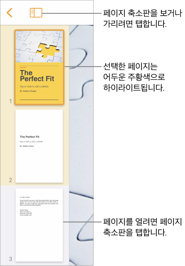 하나의 페이지가 선택된 화면 왼쪽 측면에 있는 페이지 썸네일 보기. 썸네일 위에 있는 보기 옵션 버튼.