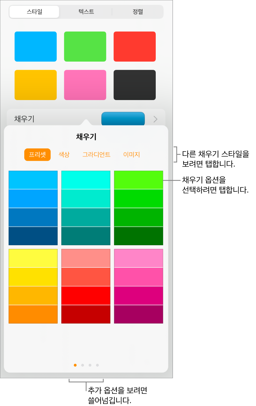 포맷 버튼의 스타일 탭에 있는 채우기 옵션.