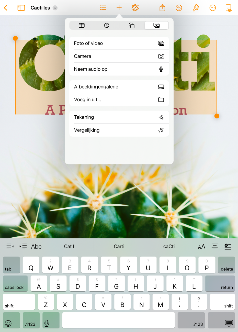 Een geopend Pages-document waarin het Voeg in-menu wordt weergegeven en het mediamenu geopend is.
