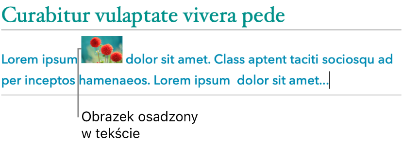 Obrazek osadzony w tekście.