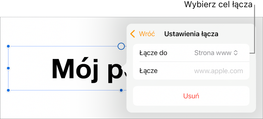 Narzędzia Ustawienia łącza; wybrane jest narzędzie Strona www; na dole znajduje się przycisk Usuń.