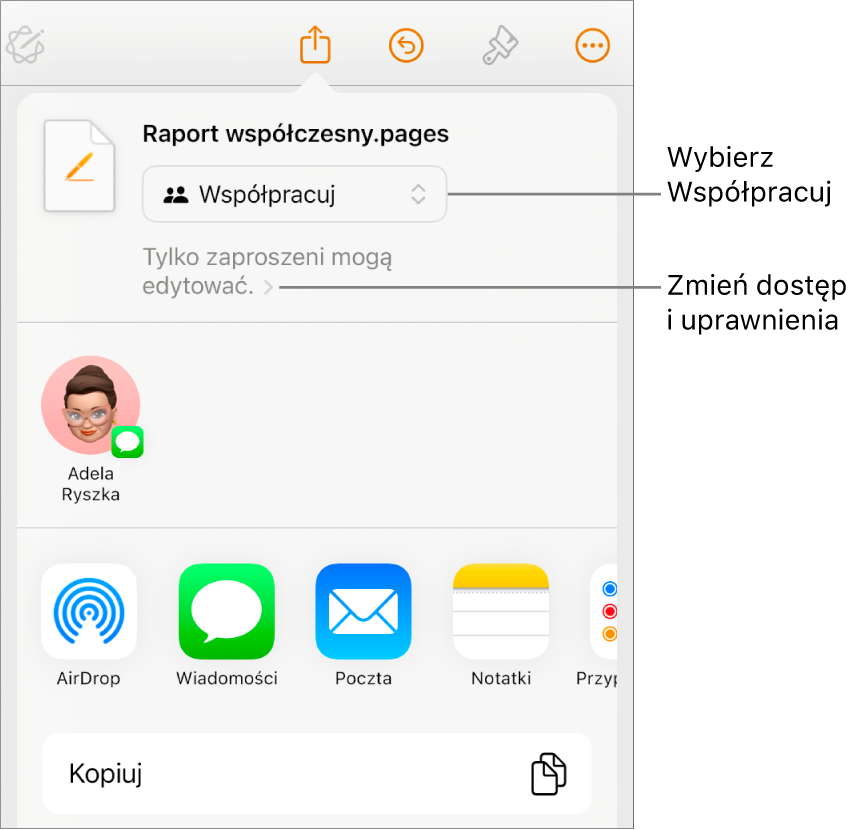 Menu udostępniania z opcją Współpracuj wybraną u góry oraz ustawieniami dostępu i uprawnień poniżej.