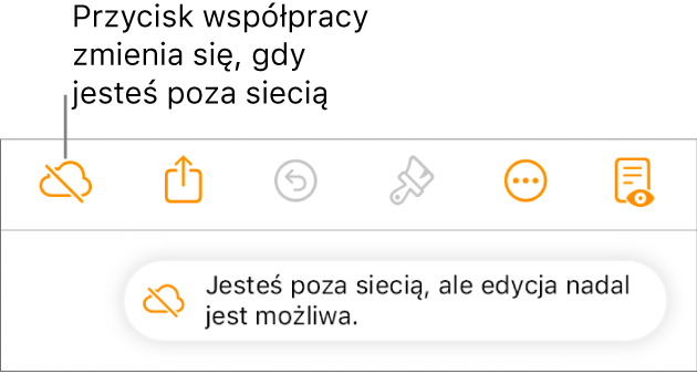 Alert zawierający następującą informację: Brak połączenia z siecią, ale edycja nadal jest możliwa.