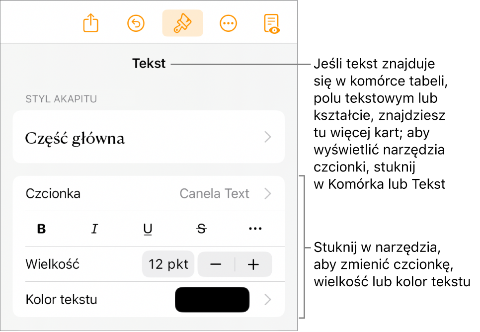 Narzędzia tekstów w menu Format służą do ustawiania stylów akapitu i znaków oraz czcionek ich wielkości i koloru.