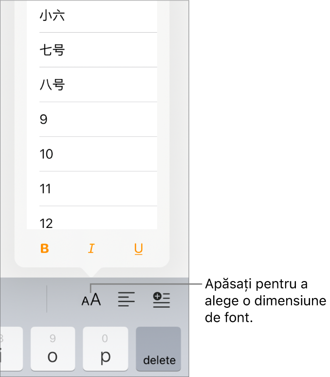 Butonul Dimensiune font aflat în partea dreaptă a tastaturii iPad, având deschis meniul de dimensiune a fontului. Dimensiunile de font standard ale guvernului Chinei continentale apar în partea de sus a meniului, având în partea de jos dimensiunile pentru punct.