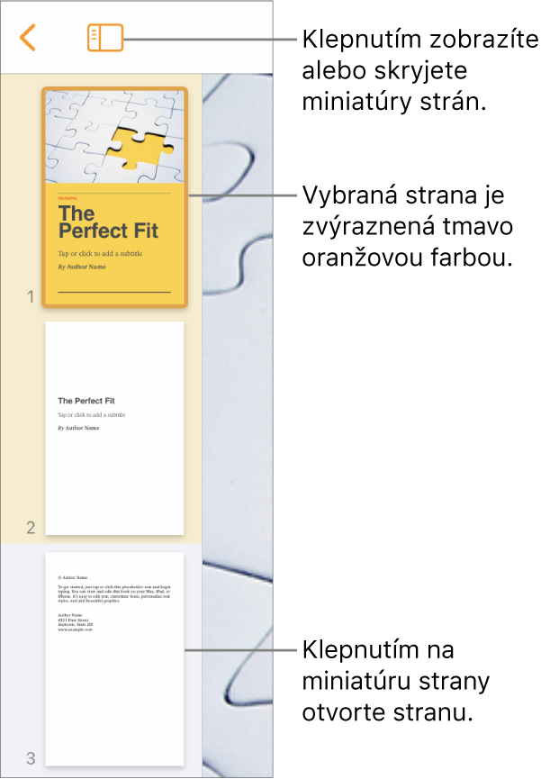 Zobrazenie Miniatúry strán v ľavej časti obrazovky s jednou vybratou stranou. Tlačidlo Možnosti zobrazenia je nad miniatúrami.