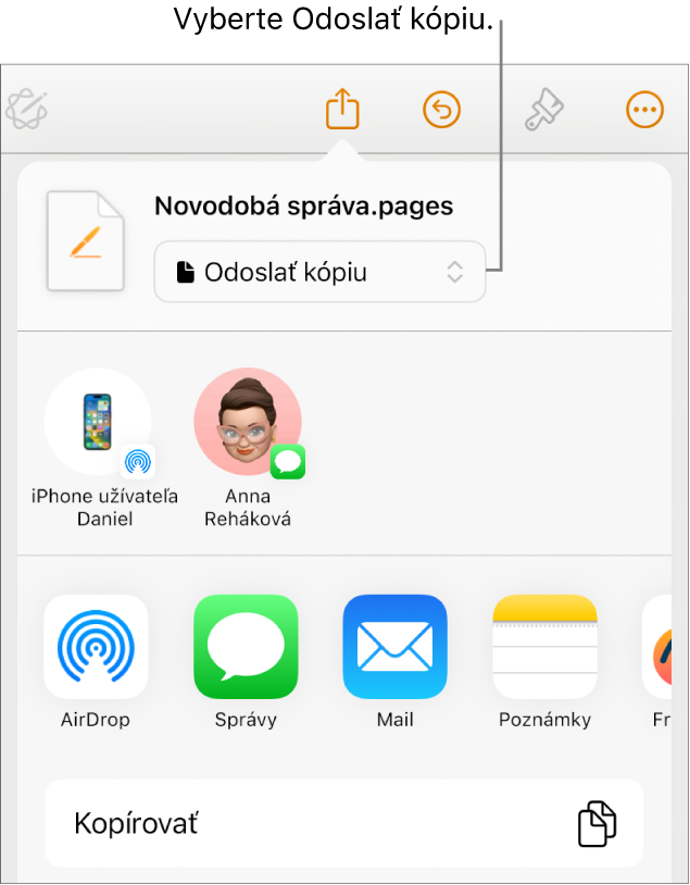 Menu Zdieľať s vybranou možnosťou Odoslať kópiu vo vrchnej časti.