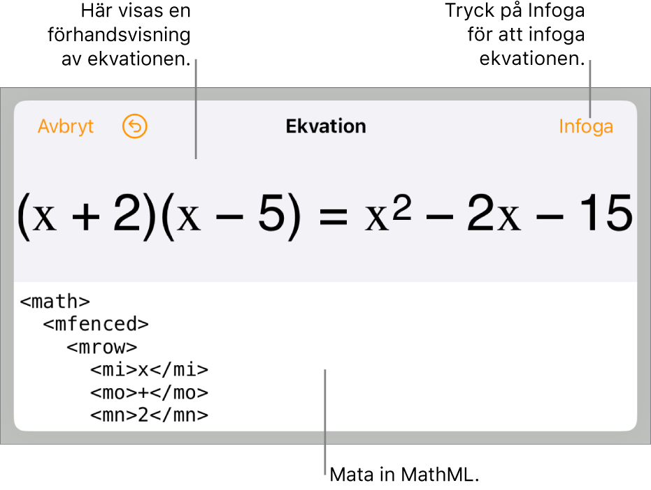 Dialogrutan Ekvation visar en ekvation som skrivits med MathML-kommandon och en förhandsvisning av formeln ovanför den.