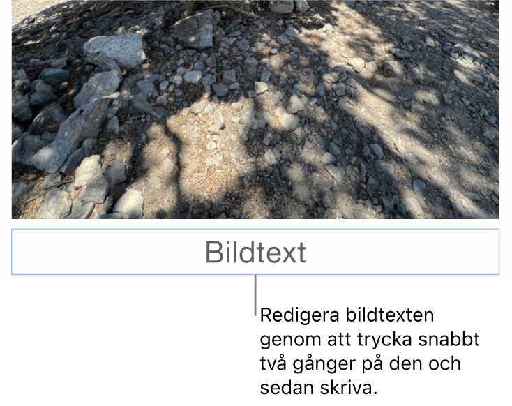 Platshållarbildtexten Bildtext visas under en bild. Den blå konturen runt bildtextfältet visar att det är valt.