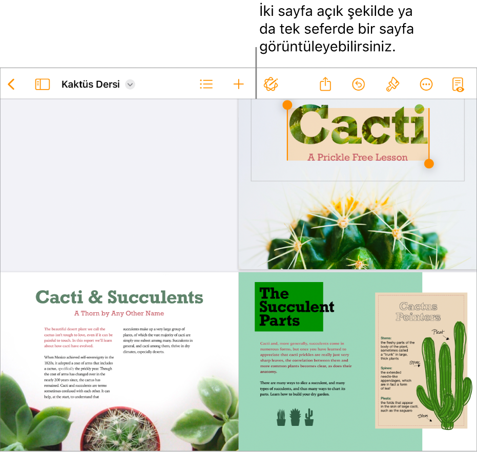 Birbirine bakan iki sayfa olarak görüntülenen sayfalara sahip bir belge.
