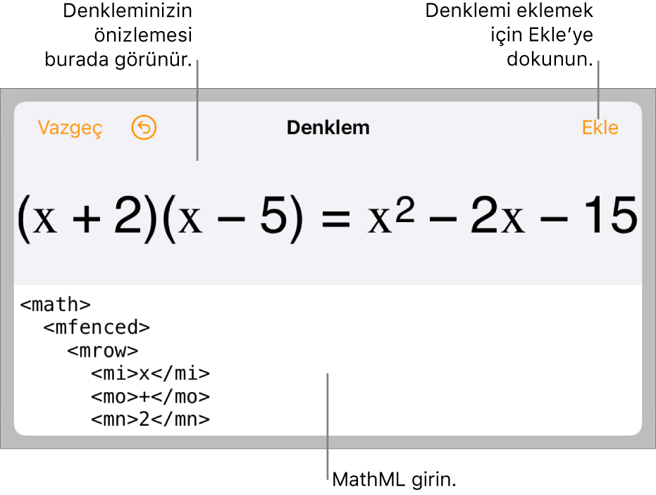 MathML komutları kullanılarak yazılmış bir denklemi ve onun üstünde formülün önizlemesini gösteren Denklem sorgu kutusu.
