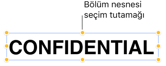 Seçim tutamaklarına sahip nesne.