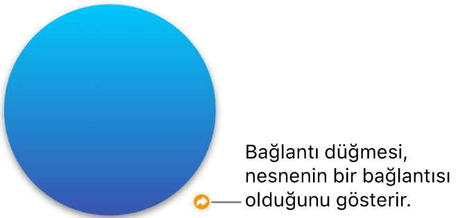 Şekildeki bağlantı düğmesi.