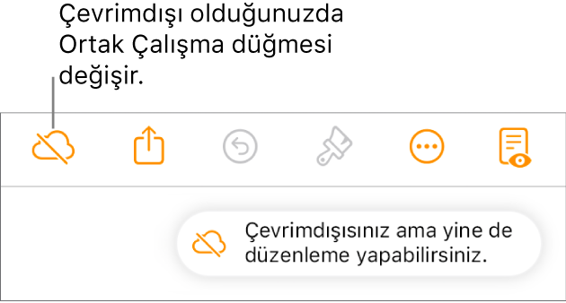 Ekrandaki bir uyarı “Çevrimdışısınız ama yine de düzenleyebilirsiniz” der.