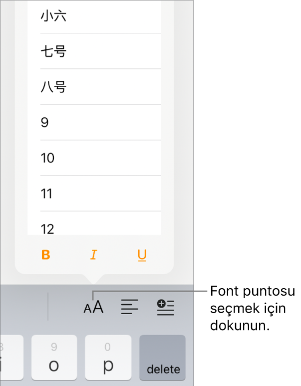 iPad klavyesinin sağ tarafında, Font Puntosu menüsü açık olarak gösterilen Font Puntosu düğmesi. Çin ana karası hükümeti standardındaki font puntoları menünün en üst kısmında, diğer puntolar ise bunun altında görünür.