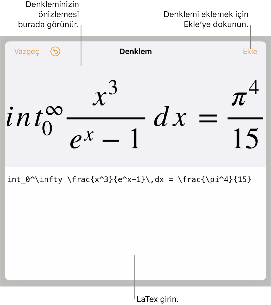 LaTeX komutları kullanılarak yazılmış bir denklemi ve onun üstünde formülün önizlemesini gösteren Denklem sorgu kutusu.