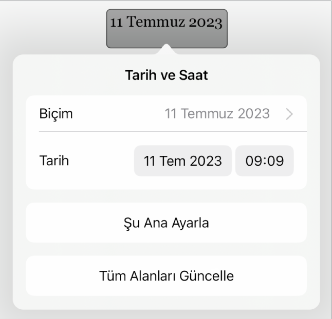 Tarih Biçimi açılır menüsünü, Şu Ana Ayarla ve Tüm Alanları Güncelle düğmelerini gösteren Tarih ve Saat denetimleri.