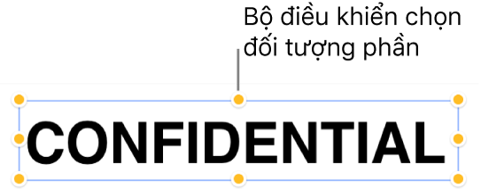 Đối tượng với các bộ điều khiển chọn.