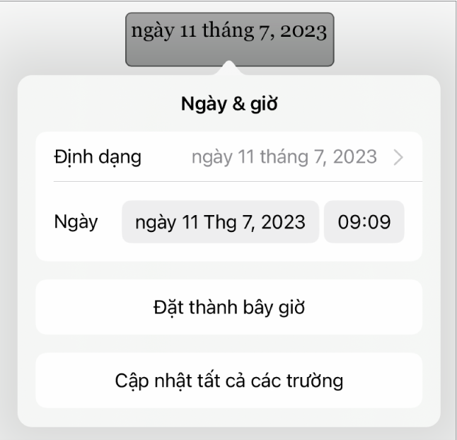 Điều khiển Ngày & Giờ hiển thị menu bật lên cho định dạng ngày cũng như các nút Đặt thành bây giờ và Cập nhật tất cả các trường.
