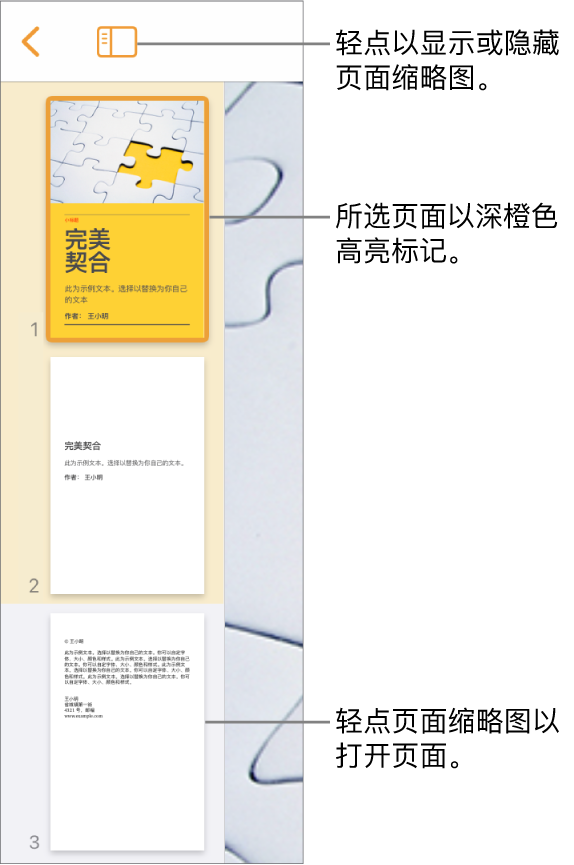 屏幕左侧的“页面缩略图”视图带有一个两页的节、分隔线，然后是下一个节的其中一页。“显示”按钮位于缩略图的上方。