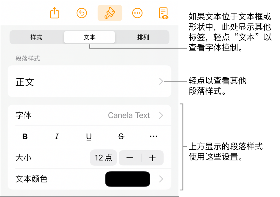 显示文本控制的“格式”菜单，用于设定段落和字符样式、字体、大小和颜色。