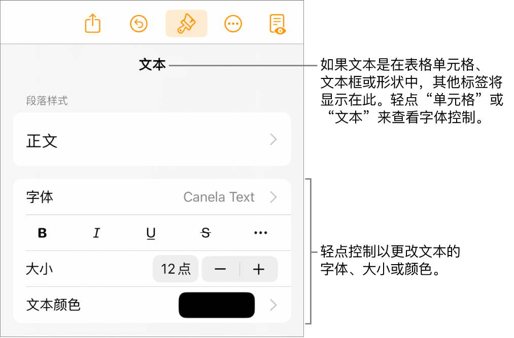 “格式”菜单中的“文本”控制，用于设定段落和字符样式、字体、大小和颜色。