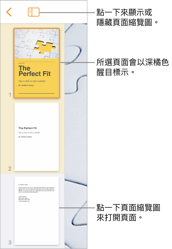畫面左側的「頁面縮覽圖」顯示方式，顯示兩頁的章節、分隔線，以及下一個章節的一頁。「顯示方式」按鈕位於縮覽圖上方。
