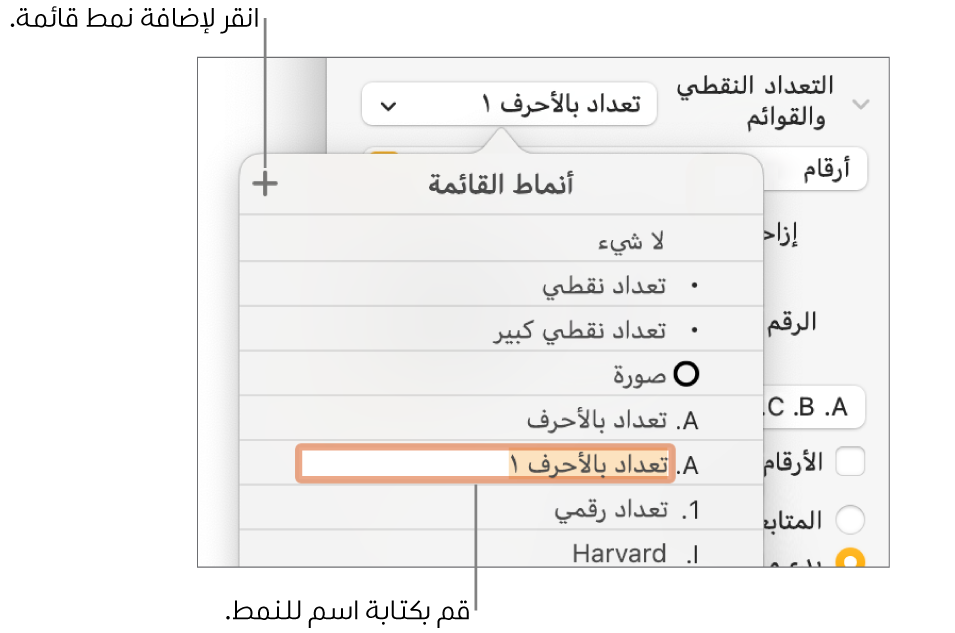 القائمة المنبثقة أنماط القائمة بها زر إضافة في الزاوية العلوية اليسرى واسم نمط عنصر نائب نصه محدد.